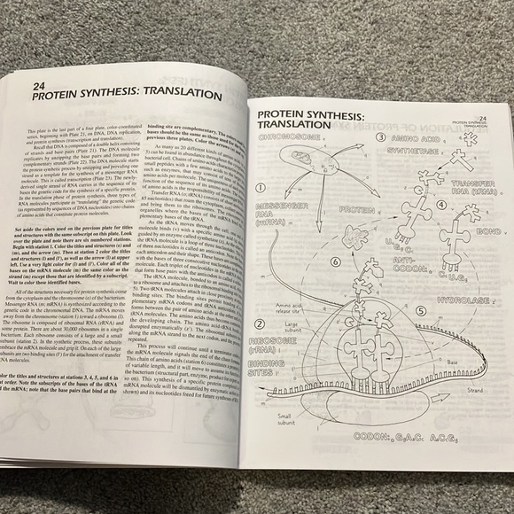 Microbiology Colouring Book - Picture 6 of 6